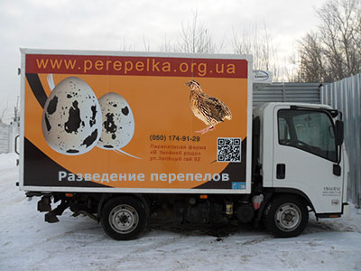     www.perepelka.org.ua
