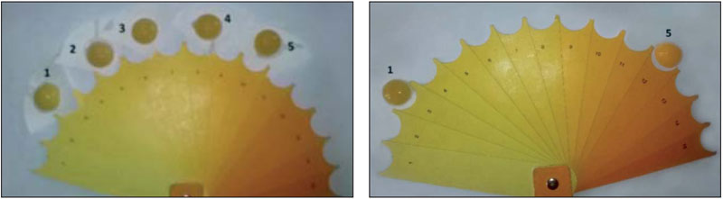 Цвет желтков перепелиныъ яиц  после использования  каротиноидных добавок
