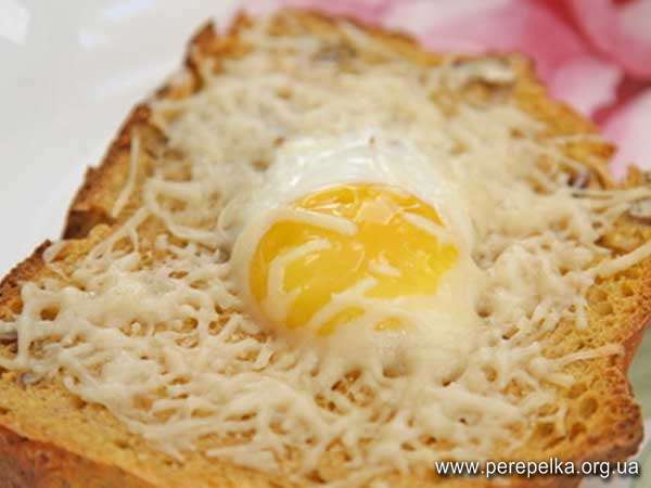 Сыр перепелиное яйцо тост рецепт