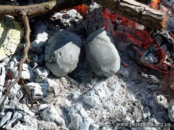 запекание перепелов в глине на углях. охотничий рецепт