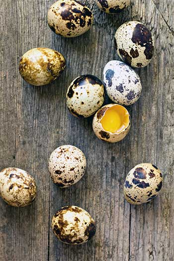 Перепелиные яйца Курск