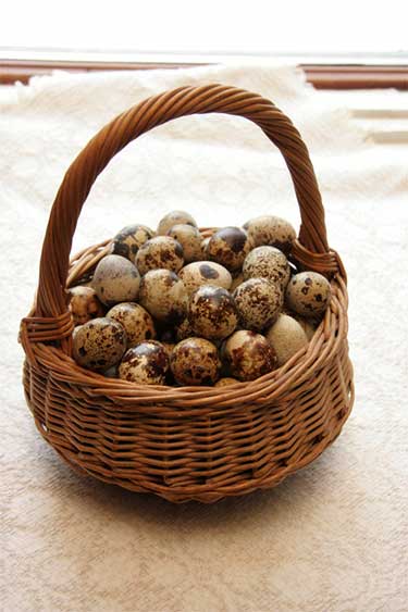 EKA PAIPALAS перепелиные яйца Латвия