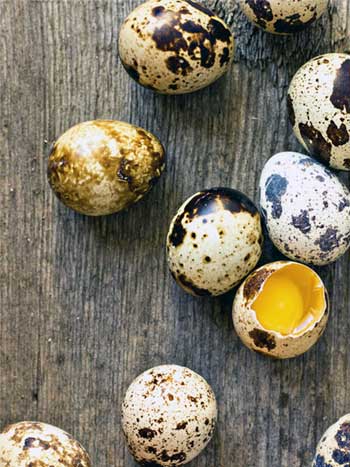 Перепелиные яйца Златоуст