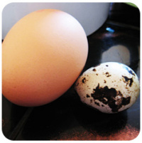 Перепелиное и куриное яйцо