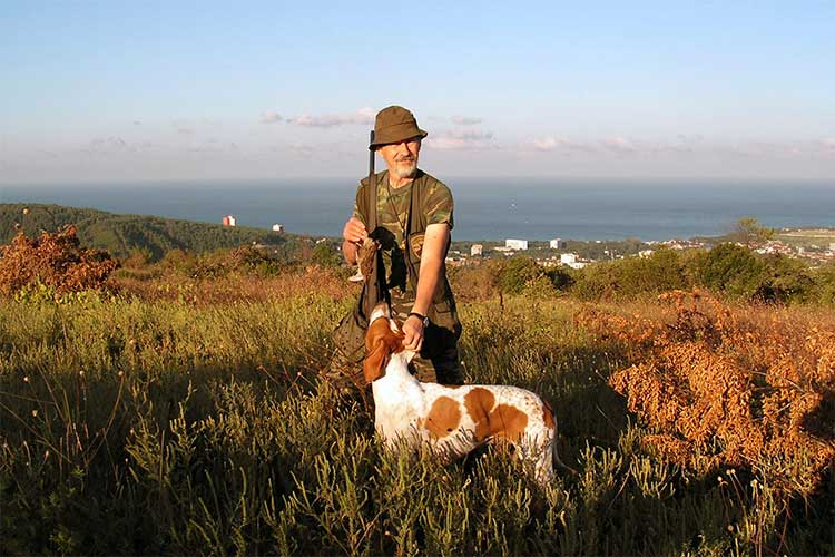 Охота на пролетного перепела на Черноморском побережье с легавой собакой