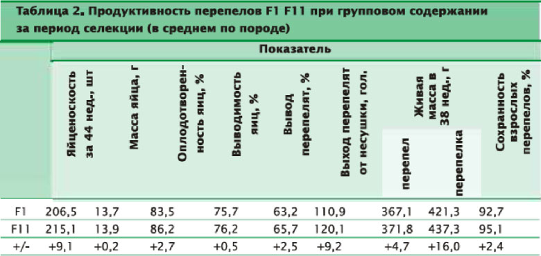 Продуктивность перепелов породы Радонежские при групповом содержании за период селекции